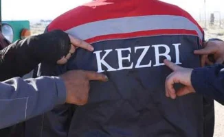 Кража века: директор 'Кезби' пойман на горячем с 320 млн от 'Озенмунайгаз'