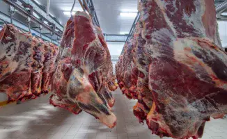 Горячая линия по говядине в Казахстане: новые меры для стабилизации рынка и защиты прав потребителей