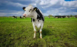 Аграрная кредитная корпорация и 'Байтерек' запустили новое направление кредитования