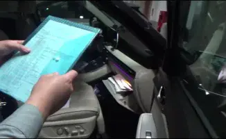 В Кокшетау раскрыли финансовую пирамиду в инвестициях в каннабис