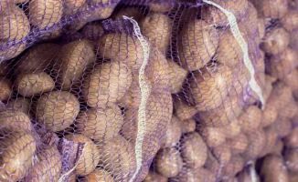 Министр объяснил причины роста цен на картофель в прошлом году