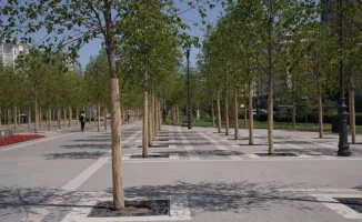 В Астане липа стоит как полгода минимальной пенсии