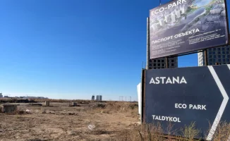 Экопарк у озера Малый Талдыколь: мечта или реальность?