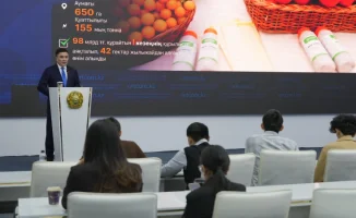 Шымкент: Экономика города выросла на 14,8% за 10 месяцев 2023 года