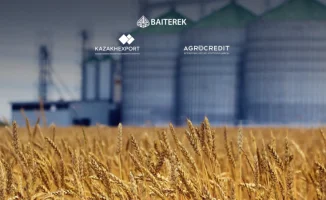 Корабли экспорта под парусами ЭКА и АКК: новая волна поддержки для бизнеса