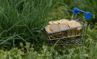 Алматинская область собрала рекордные триллион тенге в бюджете