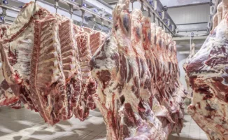 Ограничение вывоза говядины из Казахстана: причины и последствия