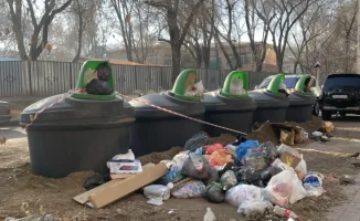 Миллиарды в земле: кто выиграл от мусорных контейнеров?