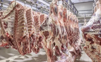 Минсельхоз объяснил новые ограничения на вывоз говядины из Казахстана