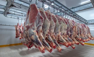 Казахстан продлевает ограничения на экспорт говядины