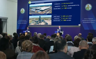 Костанайская область: инвестиции как семена, взращивающие 8% экономического урожая