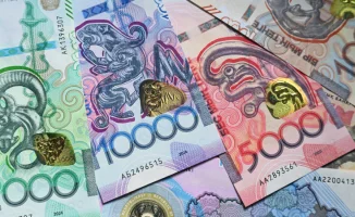 Казахстанские блогеры задекларировали более 18 миллиардов тенге доходов