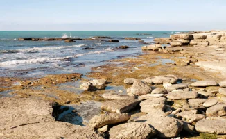 Казахстан выделил 1,1 миллиарда тенге на сохранение Каспия