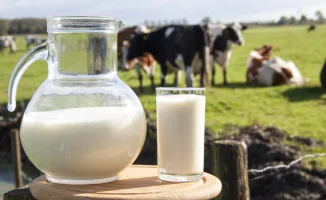 Экспорт молока в Казахстан ставит под сомнение продовольственную безопасность Кыргызстана