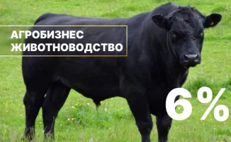 Кредиты как корм для роста: Казахстан поддерживает животноводство
