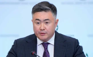 Тимур Сулейменов: Декларация не подлежит публикации