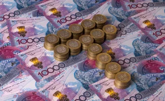 Дополнительная пожизненная пенсия: новый социальный шанс для миллионов казахстанцев