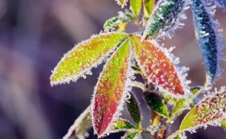 Поворот в деле Жанабыловых: новые тенге и заморозки могут изменить экономическую ситуацию в Казахстане