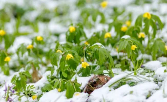 Казахстан в огне и холоде: 13 апреля — день контрастов и вызовов