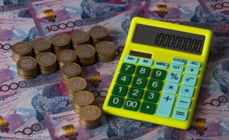 В Казахстане предложен единый соцплатеж для налогов и отчислений